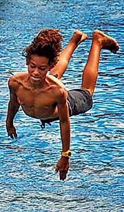 dive in