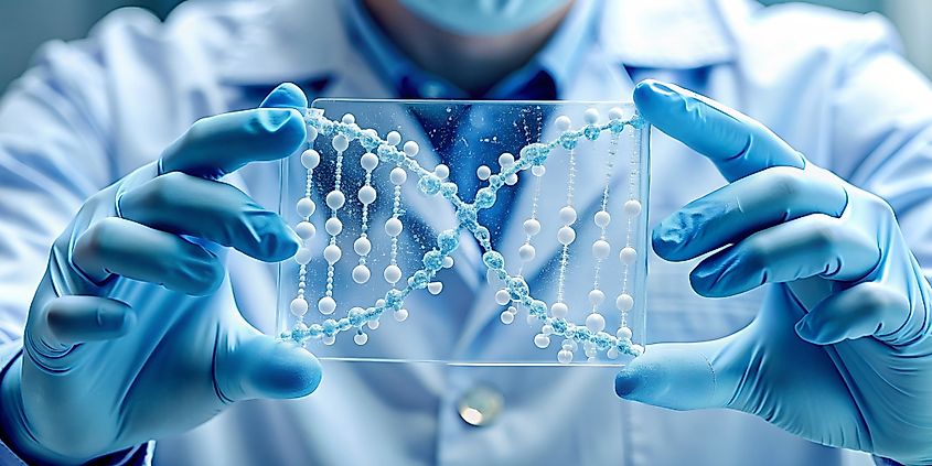 Worker conducting research in the field of molecular biology.