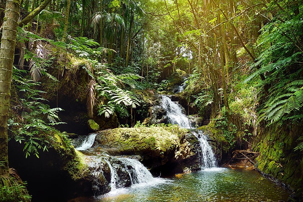 Some places in Hawaii receive more rainfall than anywhere else in the world. 